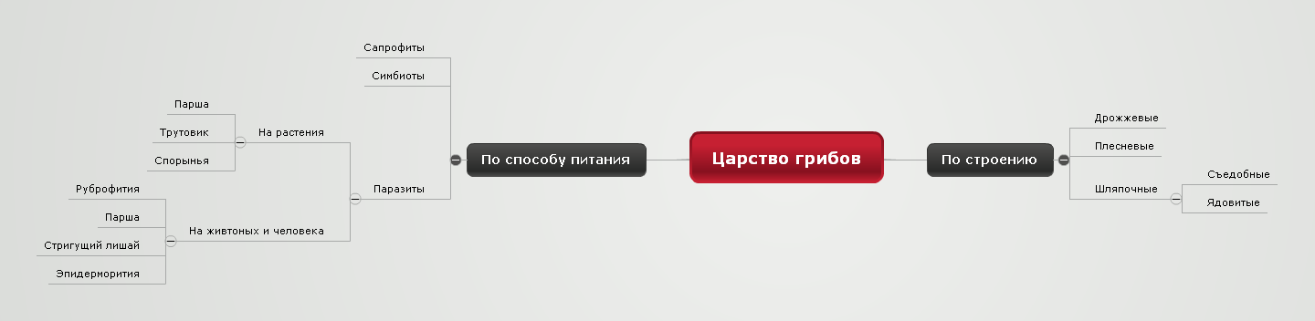 Царство грибов Плотнииков Андрей школа165 город Новосибирск.png