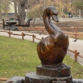 Лебедь в городском парке Саратове.jpg