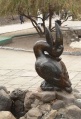 Пеликан в городском парке Саратова.jpg