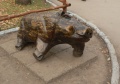 Кабан в городском парке Саратова.jpg