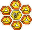 Plg emblema.jpg