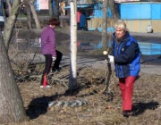 Вот с брёвнышком - это директор